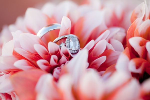 diamond ring roses